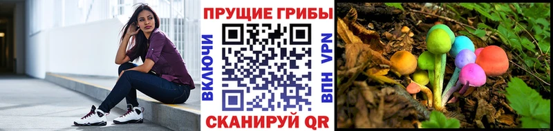 Купить где  Лагань  Псилоцибиновые грибы MAGIC MUSHROOMS 